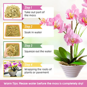 Legigo moss in hydroponics supplies oxygen and supports root growth.