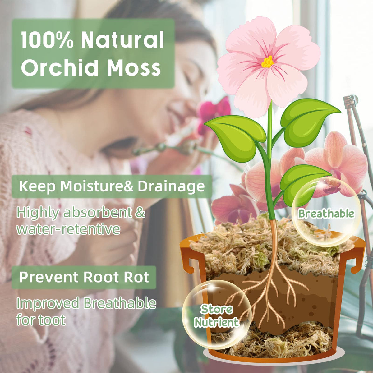 Legigo sphagnum moss for hydroponics improving root oxygenation and growth.