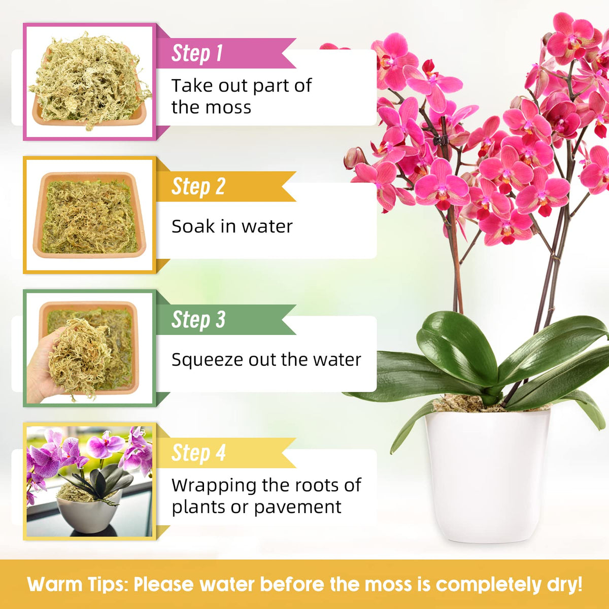Legigo orchid moss shows roots staying moist for better orchid rooting