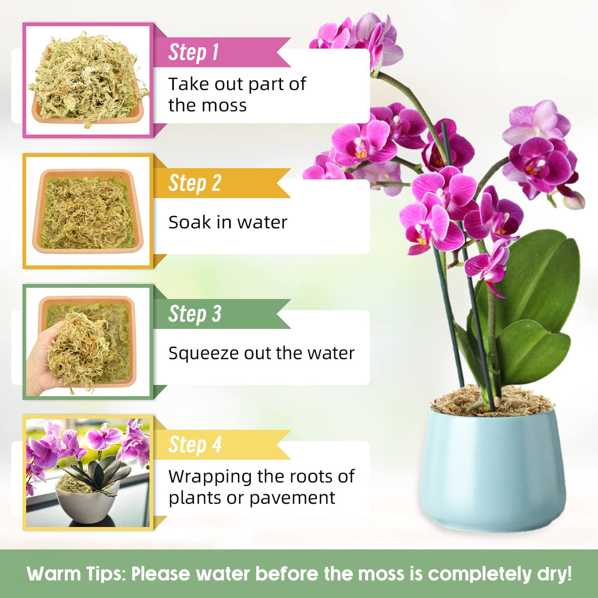 Legigo orchid moss supports orchid roots with moist substrate.