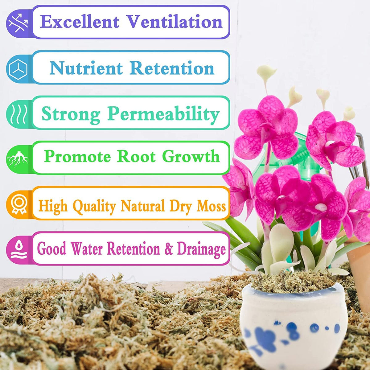Legigo moss root growth support aids healthy root development in pots.