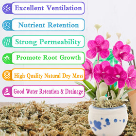 Legigo sphagnum moss provides oxygen in hydroponic water for root growth