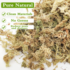 Legigo moss soaking to hydrate and swell for easy plant use