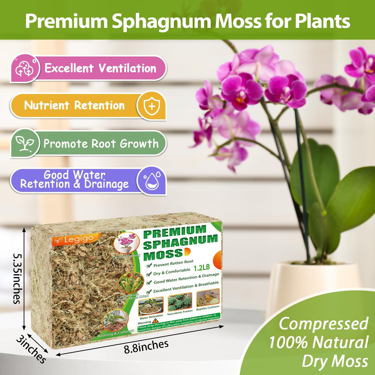 Legigo moss expands when soaked, improving moisture retention for roots