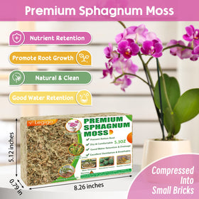 Legigo sphagnum moss water retention close-up demonstrates moisture-rich texture for plants.
