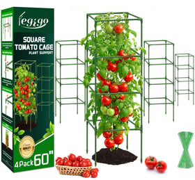 Legigo square tomato cage 60 inch tall provides sturdy support for tall tomato plants.
