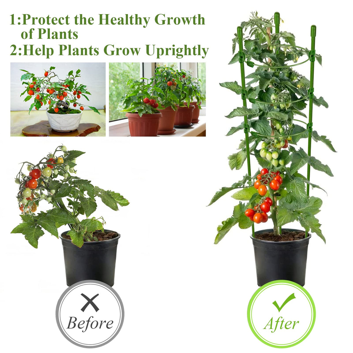 Legigo durable steel garden supports withstand wind.