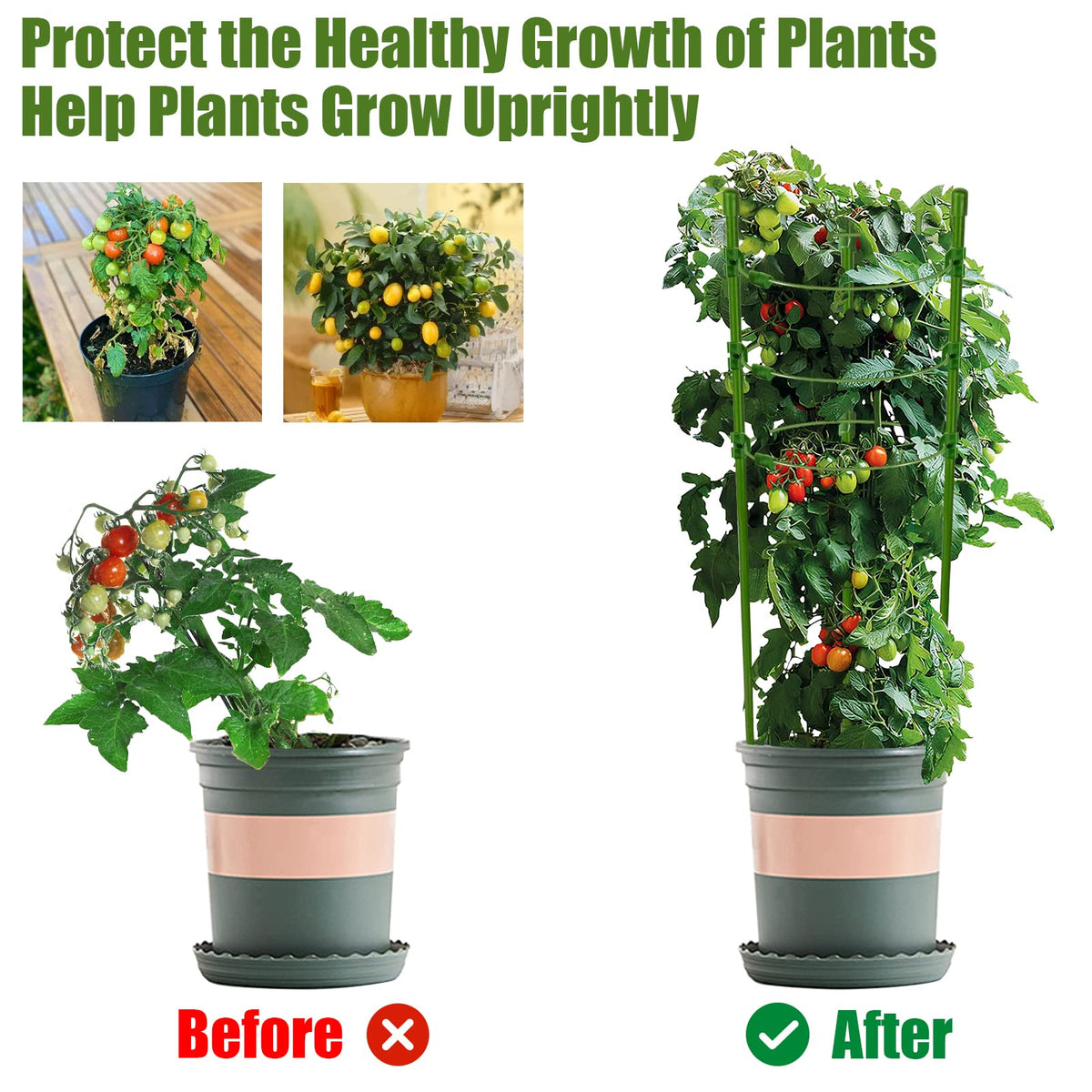 Legigo cages feature a rust-resistant steel coating for long lasting garden use.
