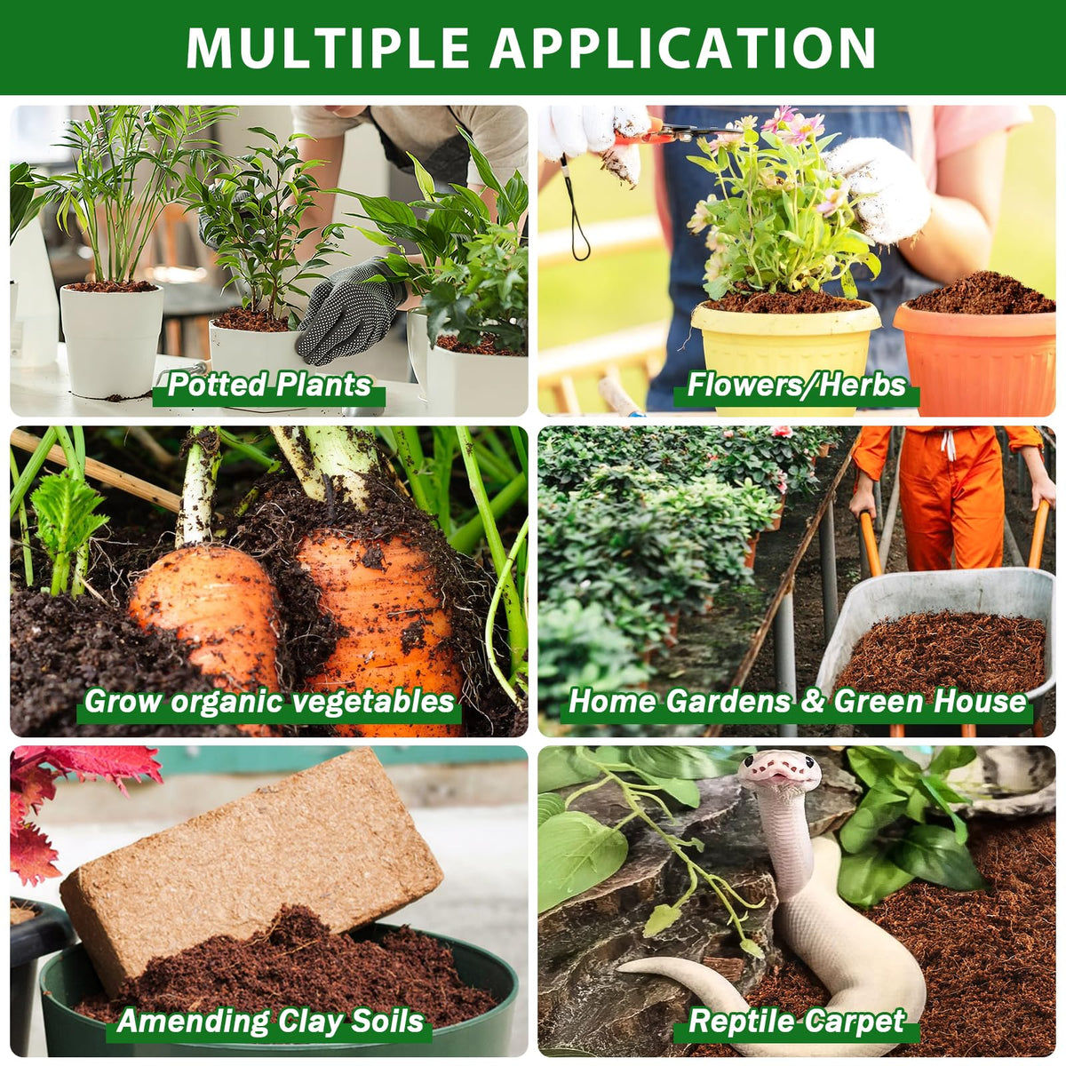 Legigo coco coir bricks suit indoor and outdoor gardening and reptile bedding