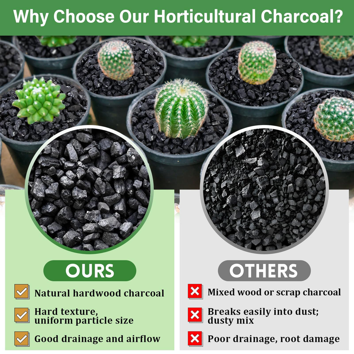 Legigo terrarium bottom layer charcoal promotes airflow and moisture control.