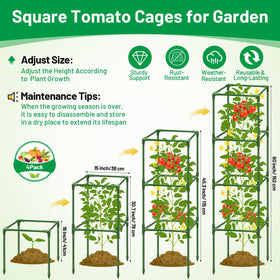 Legigo tomato cage assembly showing quick setup for climbing plants.