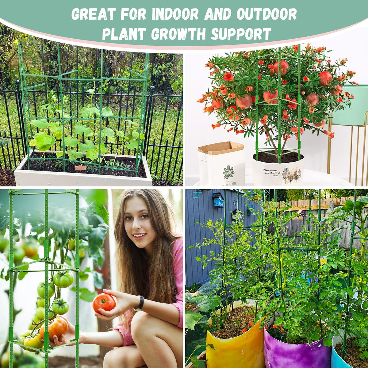 Legigo garden cage suitable for ground beds and containers.