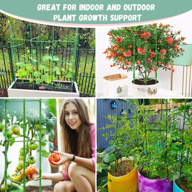 Legigo garden cage suitable for ground beds and containers.