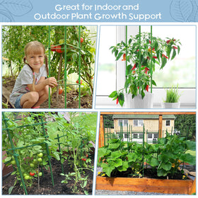 Legigo tomato cage ground application shows sturdy ground installation for vegetables