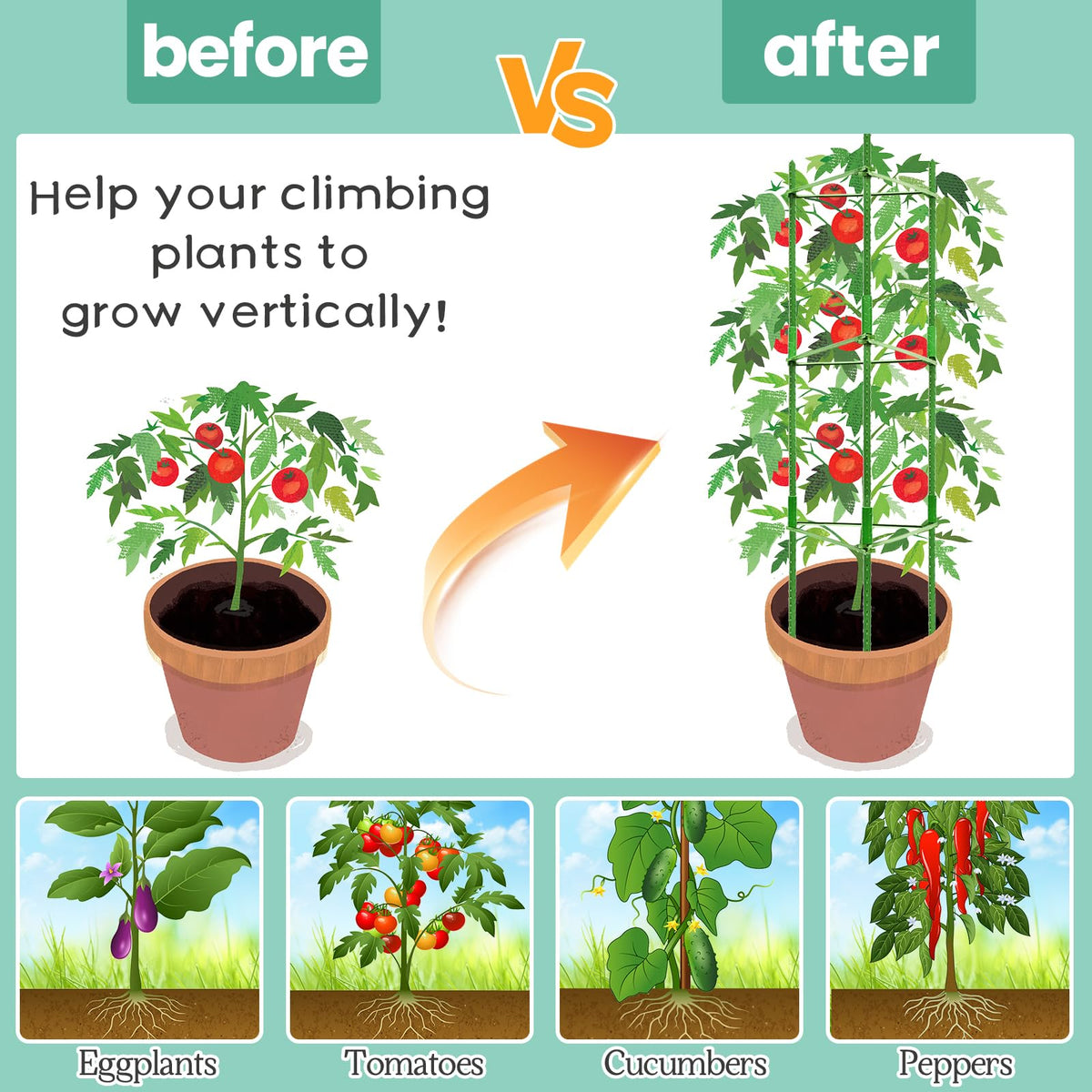 Legigo plant ties secure vines without damaging stems.