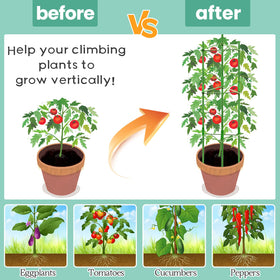 Legigo plant ties secure vines without damaging stems.
