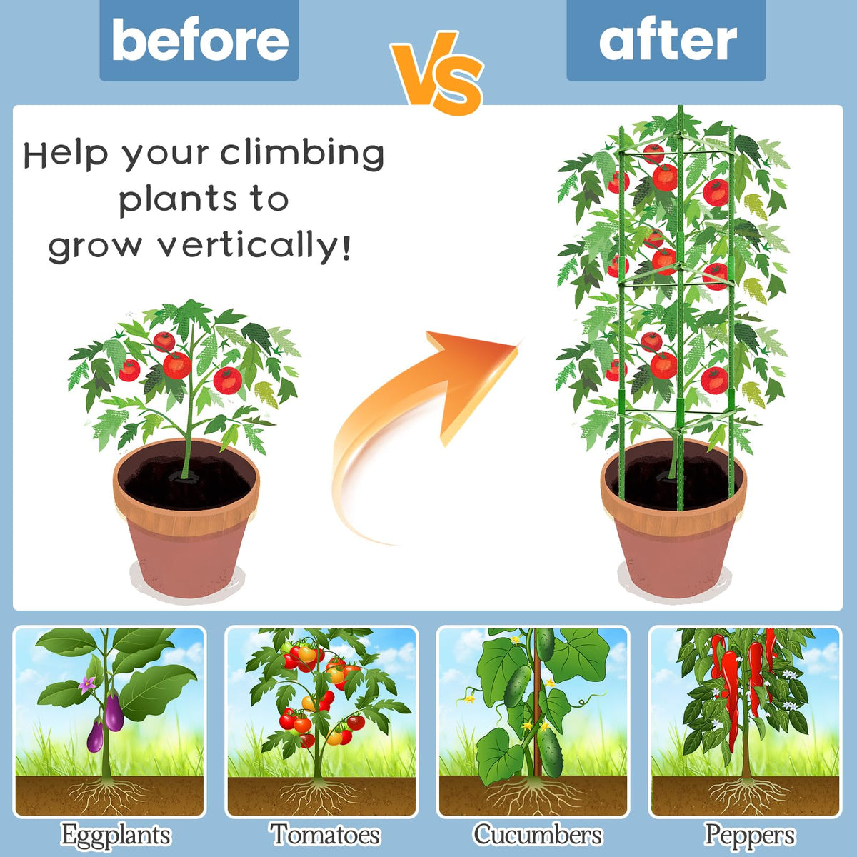 Legigo tomato cage rose bush support helps roses grow upward