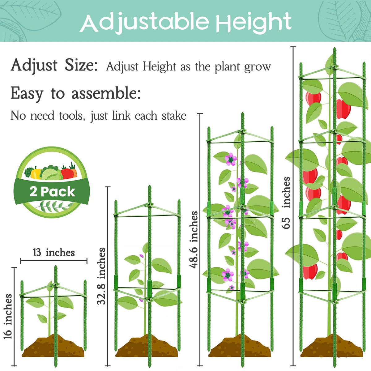 Legigo tomato cage with snap-on arms helps shape sturdy plant structures.