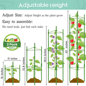Legigo tomato cage with snap-on arms helps shape sturdy plant structures.