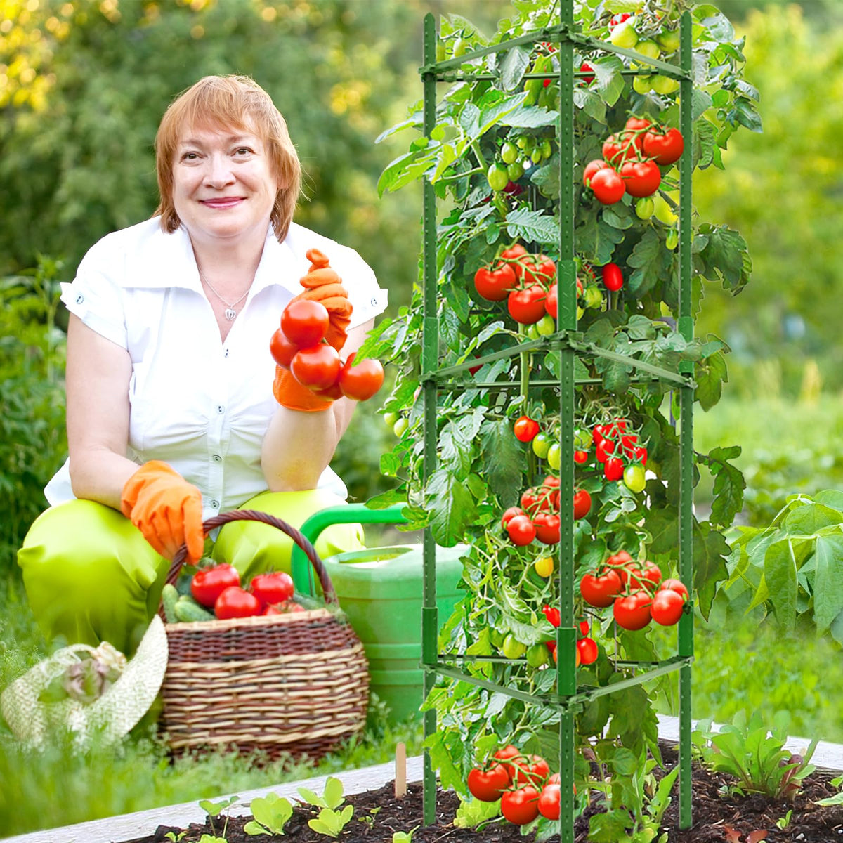 Legigo versatile cage supports tomatoes, roses and vegetables.