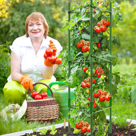 Legigo versatile cage supports tomatoes, roses and vegetables.