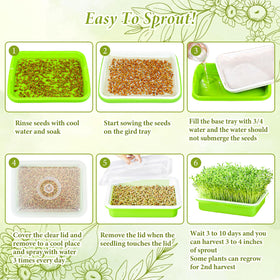 Legigo transparent lid allows watching sprouts without opening the system.