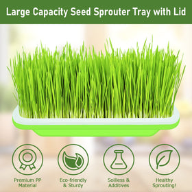 Legigo transparent lid lets you monitor sprout growth without opening.