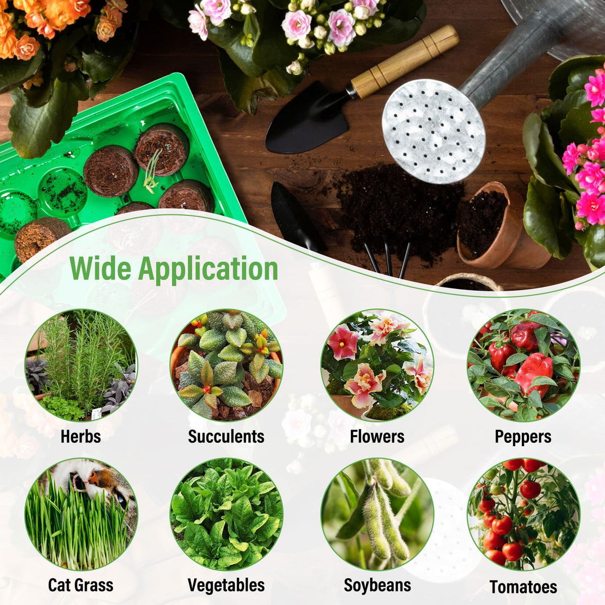 Legigo transplant-friendly plugs easing root protection during transplant