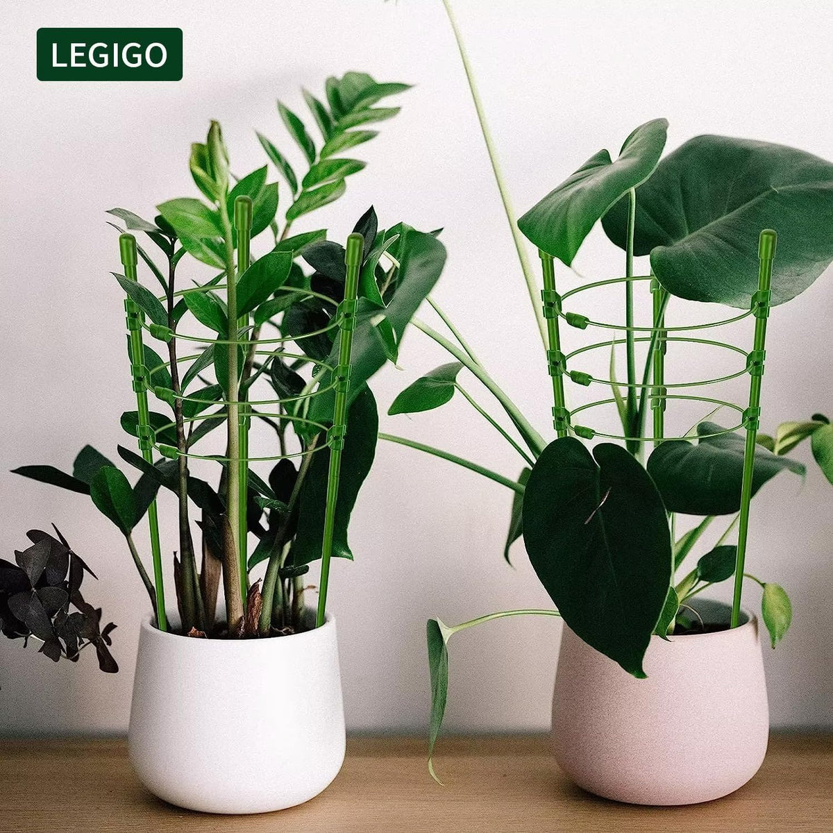 Legigo triangular frame provides stable support for climbing plants.