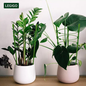 Legigo triangular frame provides stable support for climbing plants.