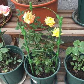Legigo triangular stability frame prevents sagging or spreading of plants.