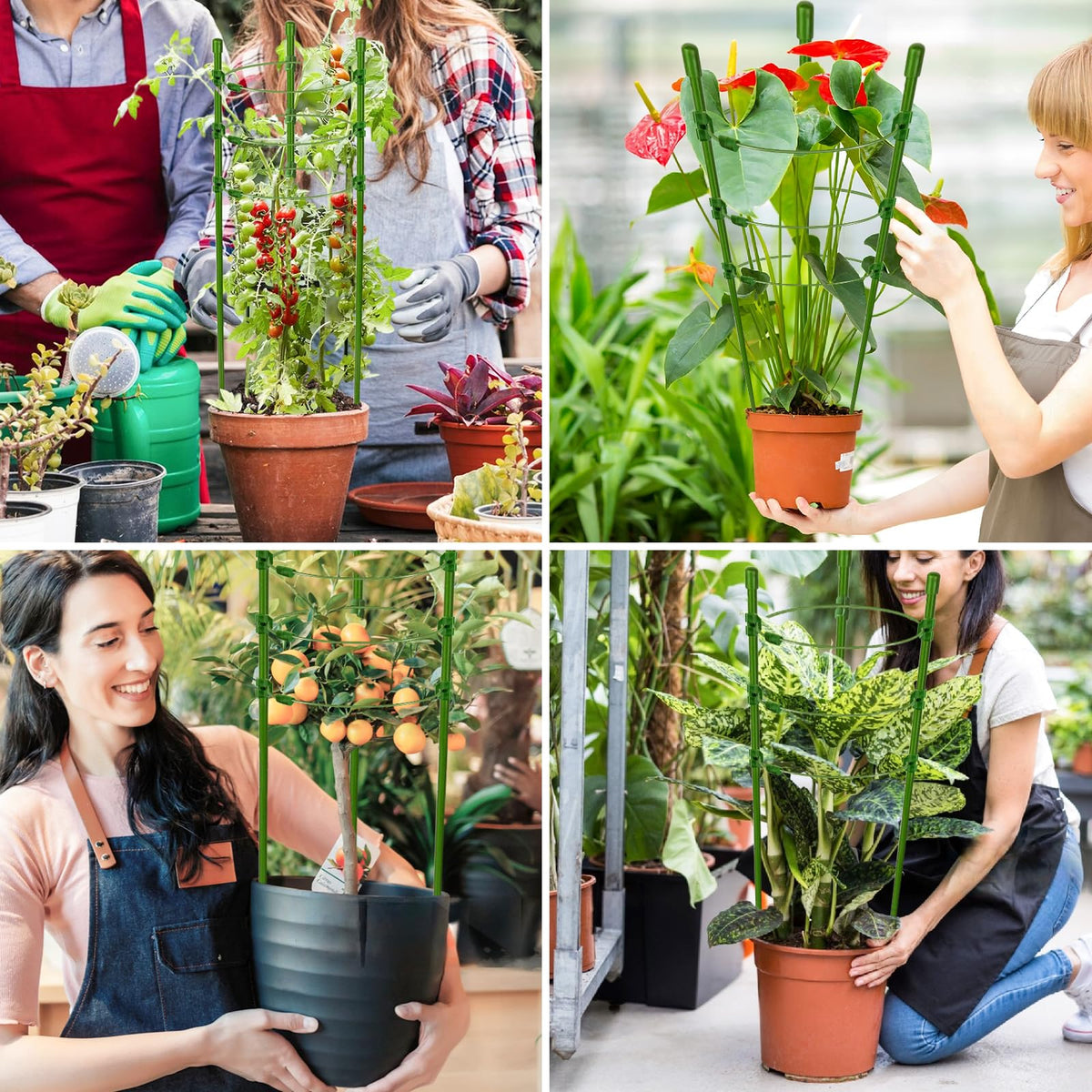 Legigo vertical climbing cages help peppers, cucumbers, and flowers grow upward