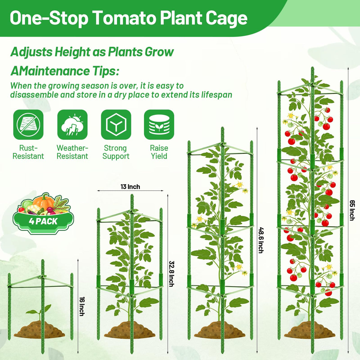 Legigo vertical trellis enables upright plant growth and easy harvesting