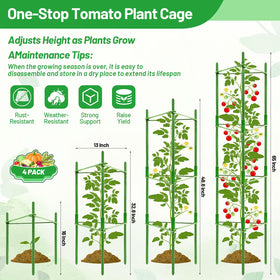 Legigo vertical trellis enables upright plant growth and easy harvesting