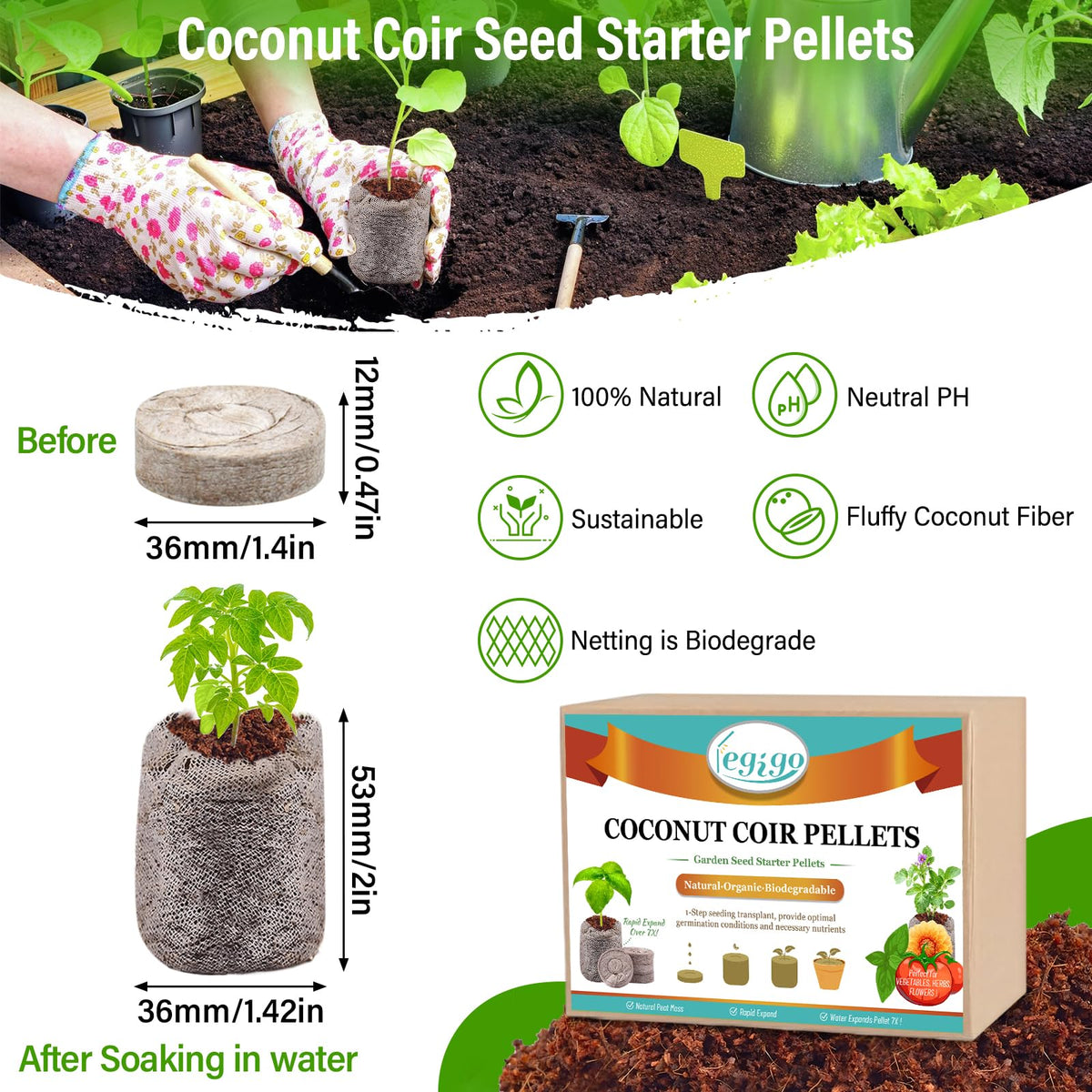 Legigo water-expansion coco coir pellets simplify seedling setup and potting.