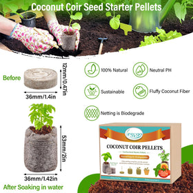 Legigo water-expansion coco coir pellets simplify seedling setup and potting.