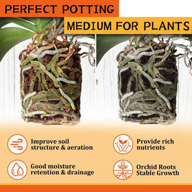 Legigo bark increases water retention while reducing watering frequency