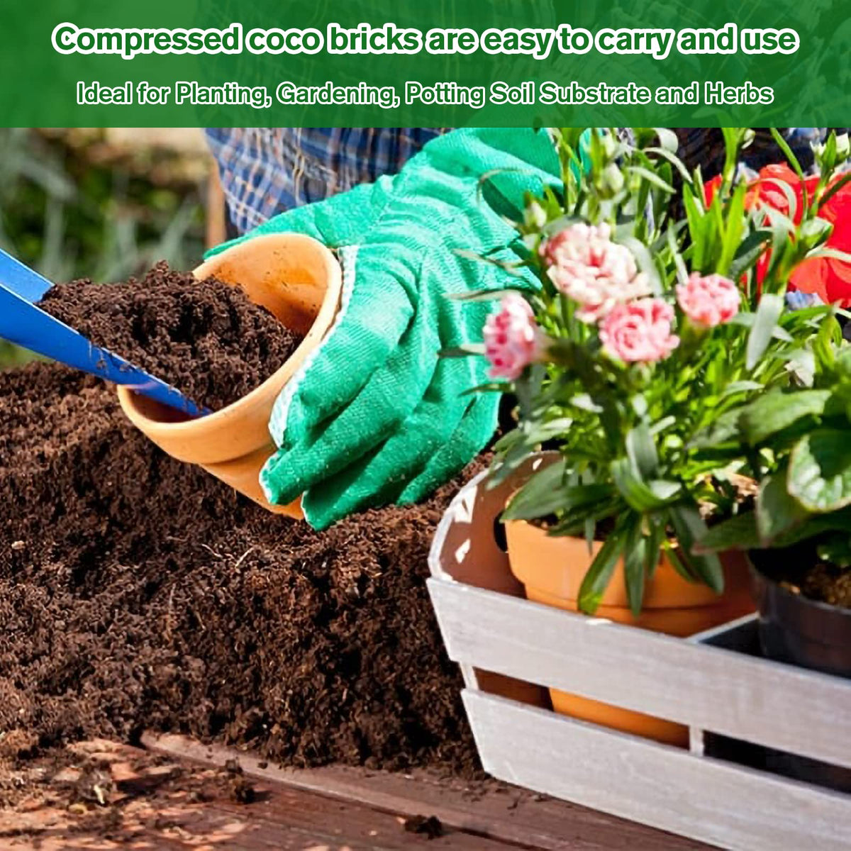 Legigo coco coir is versatile for herbs, vegetables, flowers, and houseplants