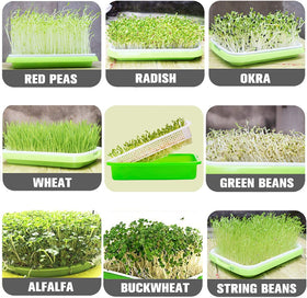 Legigo wide-application seed sprouter trays suit mung beans, wheatgrass, lentils, and more.