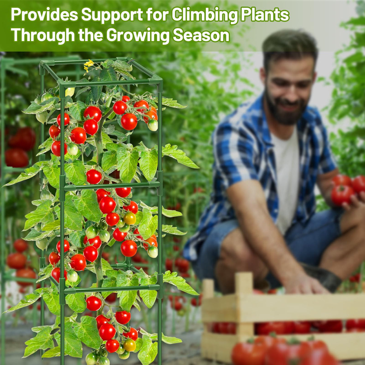 Legigo versatile for tomatoes, cucumbers, peppers, beans and other climbers.