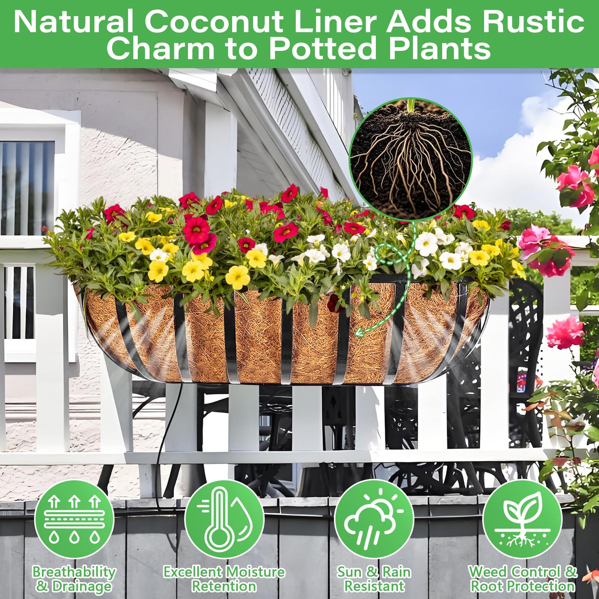 Legigo window box liner 30 inches supports vibrant blooms near entry