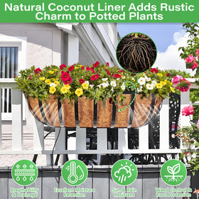 Legigo window box liner 30 inches supports vibrant blooms near entry