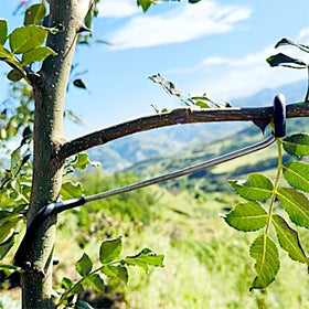 LEILINLIFE fruit tree airflow-improver spreader enhances ventilation.
