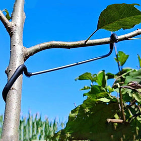 LEILINLIFE fruit tree branch spreaders 20pcs set stabilizes growth on diverse fruit trees.
