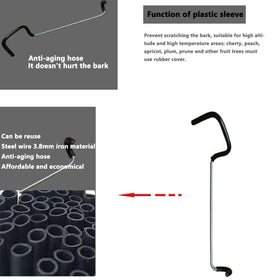 LEILINLIFE canopy ventilation with spreaders supports healthy leaf exposure and fruit development.