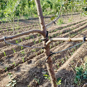 LEILINLIFE iron branch spreader durable for long-lasting orchard use.