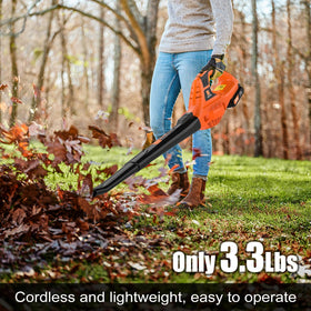 Leisch Life battery with rapid-charge powers quick cleanups outdoors.