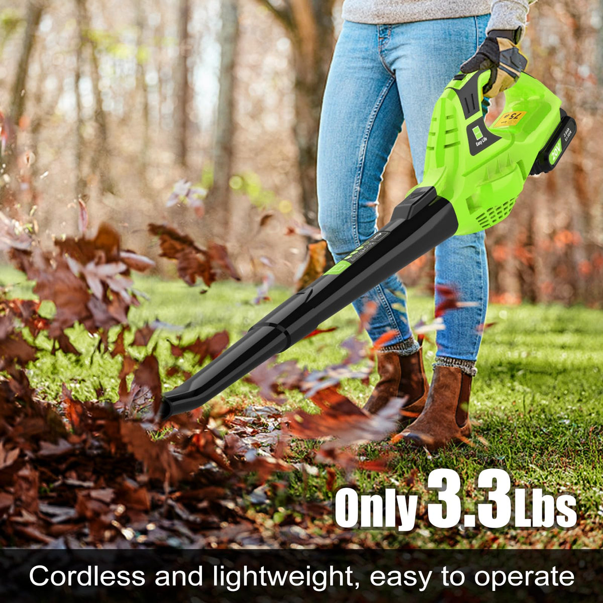 Leisch Life 21V matches small-area tasks like porches, sidewalks, and garages.