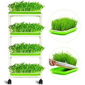 LeJoy Garden 4-layer sprout tray setup for easy indoor gardening and organized storage.