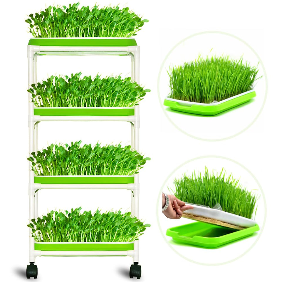 LeJoy Garden 4-layer sprout tray setup for easy indoor gardening and organized storage.